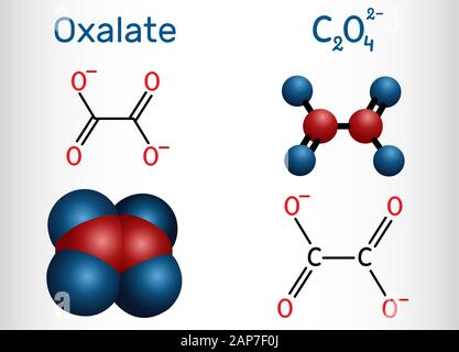 L'anion oxalate, ethanedioate molécule. Formule chimique structurale et molécule modèle. Vector illustration Illustration de Vecteur