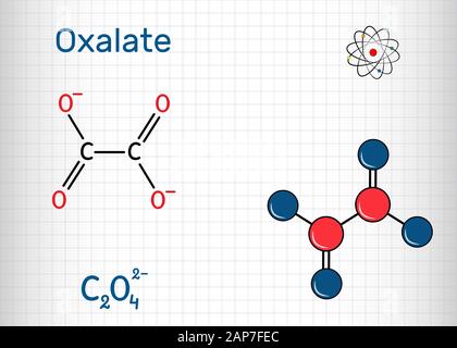 L'anion oxalate, ethanedioate molécule. Formule chimique structurale et molécule modèle. Feuille de papier dans une cage. Vector illustration Illustration de Vecteur