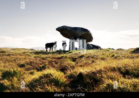 Kilclooney Plus II DG. 70 La préhistoire mégalithique néolithique tombe portail aka Kilclooney dolmen près de Ardara, Donegal, Irlande. Les ânes résident Banque D'Images