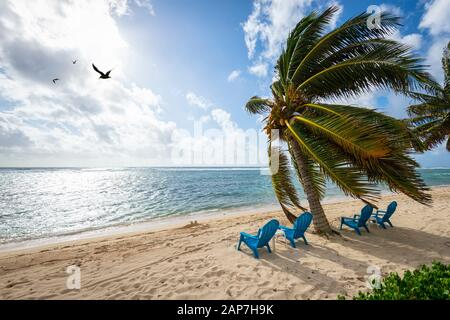 Chaises de plage sur la plage avec palmiers Banque D'Images