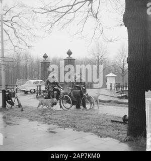 Protection pour le président français au palais de La Haye Date : 15 mars 1963 Lieu : La Haye, Hollande-mérid. Mots-clés : Palais, présidents Banque D'Images