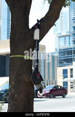 Un scooter de location électrique accroché dans un arbre par un local Banque D'Images