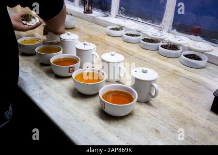 Préparation d'échantillons de dégustation de thé dans une usine de thé. À Darjeeling, Bengale Occidental, Inde. Banque D'Images