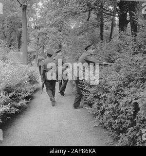 Vol de banque à Rotterdam, armé de carbines, les policiers font des recherches sur les buissons près de Date : 13 juin 1966 lieu : Rotterdam, Zuid-Holland mots clés : police, vols bancaires Banque D'Images