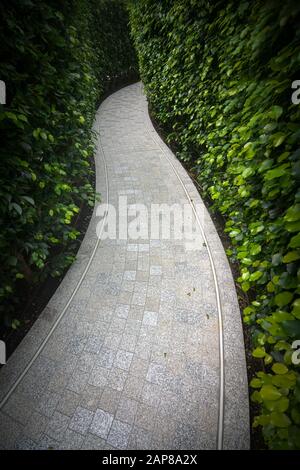 Chemin secret à travers un labyrinthe dense de couverture de jardin Banque D'Images