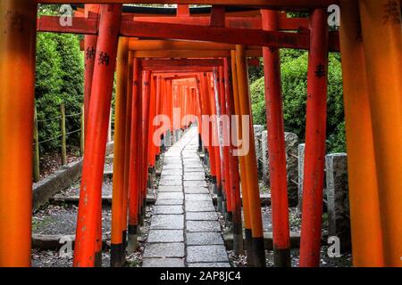 Torii Gate Tunnel Au Sanctuaire Nezu De Tokyo Banque D'Images