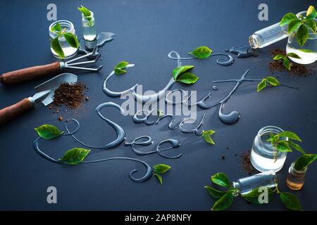 Attendez et voyez le texte écrit avec l'eau, le jardinage, le printemps, et le concept croissant Banque D'Images