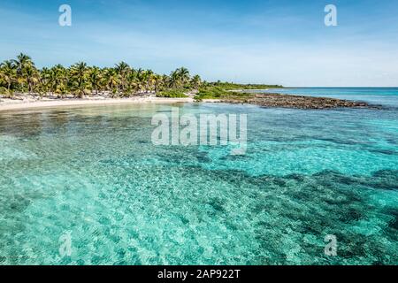 Plage tropicale avec palmiers et eau turquoise au port de Costa Maya, Mexique. Banque D'Images