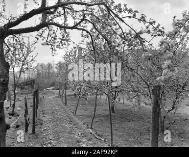 Bloemendefile Paleis Soestdijk Date: 30 Avril 1955 Mots Clés: Fichiers Floraux Nom De L'Institution: Palace Soestdijk Banque D'Images