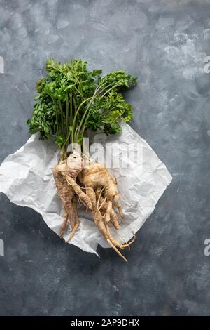 Racines de persil blanc frais sur fond gris Banque D'Images