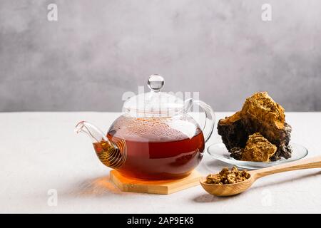 Thé de guérison à base de champignons de bouleau chaga dans une théière en verre. Alcool organique antioxydant fond gris. Le concept de nutrition saine et de style de vie. H Banque D'Images