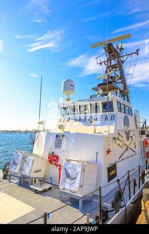 San Diego, Navy Pier, Californie, ÉTATS-UNIS - 1 août 2018:Farley Mowat bateau de la Sea Shepherd conservation Society, contre la chasse à la baleine et Banque D'Images