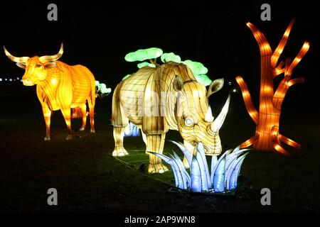 Lancement VIP Lightopia, Chiswick House and Gardens, Londres, Royaume-Uni, 21 janvier 2020, photo de Richard Goldschmidt Banque D'Images