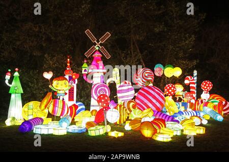 Lancement VIP Lightopia, Chiswick House and Gardens, Londres, Royaume-Uni, 21 janvier 2020, photo de Richard Goldschmidt Banque D'Images