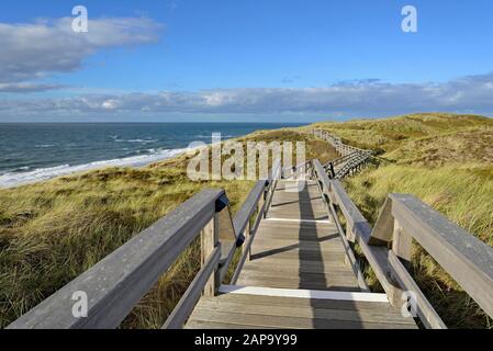 Promenade dans les dunes, plage entre Wenningstedt et Kampen, Sylt, Île frisonne du Nord, Mer du Nord, Frise du Nord, Schleswig-Holstein, Allemagne Banque D'Images