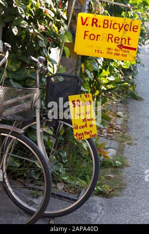 Location de vélos, Chiang Mai Thaïlande Banque D'Images