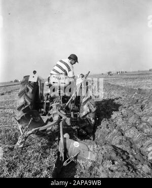 L'équipe nationale se réunit 1965 à Swifterbant Description: M. H. Ardon de Kloetinge (Zeeland) en action Date: 26 octobre 1965 lieu: Flevoland, Swifterbant mots clés: Agriculture arable, culture, outils agricoles, tracteurs, concours Banque D'Images