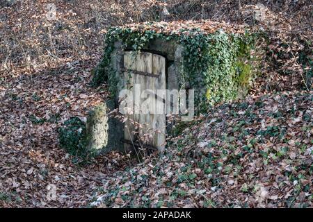 Ancienne porte dans le sol dans les bois Banque D'Images