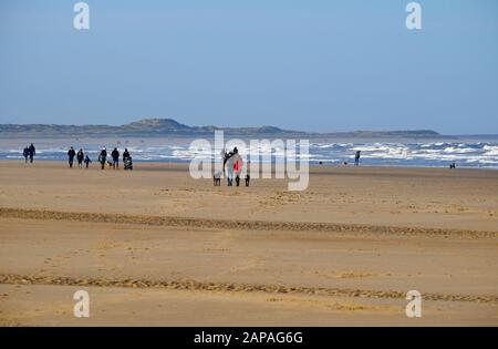 marcheurs de chiens sur la plage de holkham, au nord de norfolk, en angleterre Banque D'Images