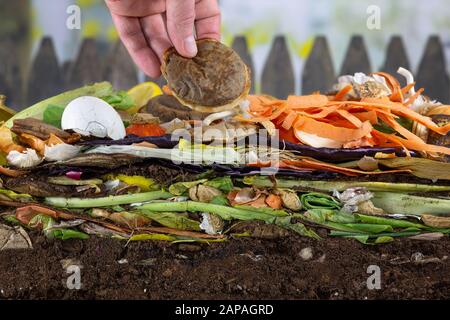 Par contre l'ajout d'un homme coffeepad biodégradables pour un tas de compost composé de pourrir les restes de cuisine Banque D'Images