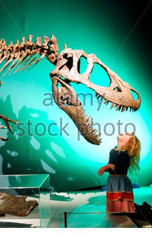 Édimbourg, Écosse, Royaume-Uni. 22 janvier 2020. L'exposition la plus complète jamais montée sur les tyrannosaures ne fera qu'une apparition européenne lorsqu'elle s'ouvrira au Musée National d'Ecosse à Edimbourg le 23 janvier 2020, jusqu'au 4 mai. Les Tyrannosaures exploreront les dinosaures les plus redoutés et les plus révérés, apportant les dernières découvertes paléontologiques à la vie et les idées préconçues difficiles sur ces prédateurs féroces. Les écoliers interagissent avec les tyrannosaures. Crédit: Craig Brown/Alay Live News Banque D'Images