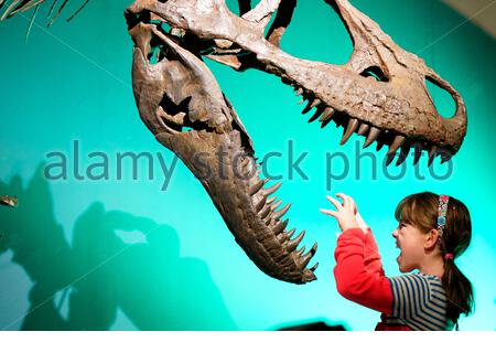 Édimbourg, Écosse, Royaume-Uni. 22 janvier 2020. L'exposition la plus complète jamais montée sur les tyrannosaures ne fera qu'une apparition européenne lorsqu'elle s'ouvrira au Musée National d'Ecosse à Edimbourg le 23 janvier 2020, jusqu'au 4 mai. Les Tyrannosaures exploreront les dinosaures les plus redoutés et les plus révérés, apportant les dernières découvertes paléontologiques à la vie et les idées préconçues difficiles sur ces prédateurs féroces. Les écoliers interagissent avec les tyrannosaures. Crédit: Craig Brown/Alay Live News Banque D'Images