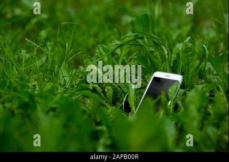 Un téléphone perdu sort de l'herbe. Smartphone dans l'herbe. Espace de copie Banque D'Images