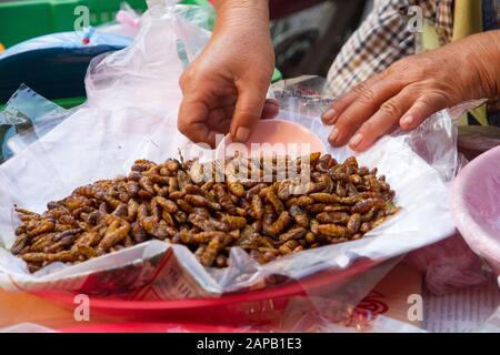 Insectes ont bu de la nourriture à vendre stalle dans le marché Thaïlande Chiang Mai ville Banque D'Images