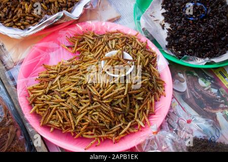 Insectes ont bu de la nourriture à vendre stalle dans le marché Thaïlande Chiang Mai ville Banque D'Images