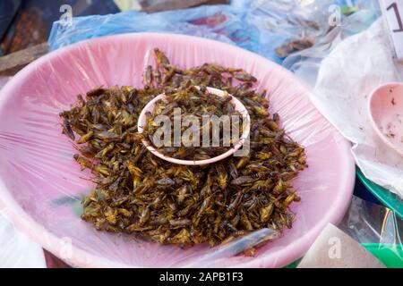 Insectes ont bu de la nourriture à vendre stalle dans le marché Thaïlande Chiang Mai ville Banque D'Images