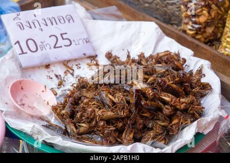 Insectes ont bu de la nourriture à la vente étiquette de prix marché Thaïlande Chiang Mai ville Banque D'Images