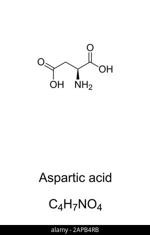 Molécule d'acide aspartique, formule squelettique. Structure De L'Asp, C4H7NO4. Forme ionique appelée aspartate. Neurotransmetteur. Banque D'Images