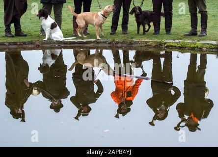 Dortmund, Allemagne. 22 janvier 2020. Les chasseurs jouent sur leurs cornes de chasse pendant la séance photo devant 'Jagd & Hund' et 'Fisch & Angel' et se reflètent dans un étang avec leurs chiens. Du 28 janvier au 2 février, la plus grande foire de chasse d'Europe et la foire de pêche à la ligne se tiendront simultanément. Crédit: Bernd Thissen/Dpa/Alay Live News Banque D'Images