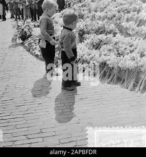 Bloemendefile Paleis Soestdijk Date: 30 Avril 1955 Mots Clés: Fichiers Floraux Nom De L'Institution: Palace Soestdijk Banque D'Images