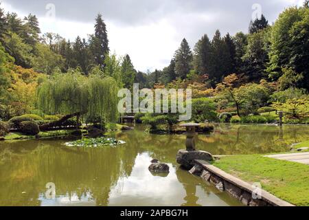 Un grand étang entouré d'arbres verts, un saule pleureur, et les érables japonais qui reflètent dans l'eau à Seattle, Washington, États-Unis Banque D'Images