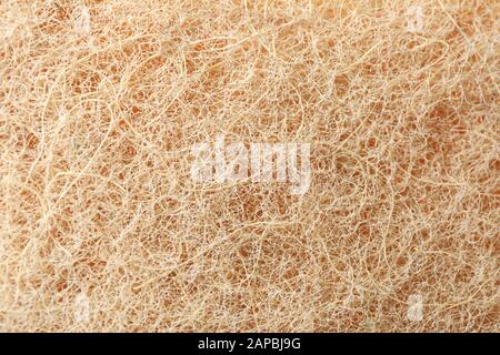 Éponge pour laver vaisselle texture fond, macro Banque D'Images