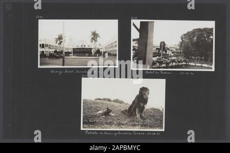 Album photo Fisherman: Dutch East Indies, China, Japon, Pays-Bas, Suisse, 1930 Description: Albumblad avec trois photos. En haut à gauche: L'Oranjehotel à Surabaya (Java); en haut à droite: L'hôtel à Tosari (Sumatra); en bas: Le chien Patiala avec un petit chien à Tosari Date: 1930/12/19 lieu: Indonésie, Java, Sumatra, Surabaya, Tosari mots clés: Chiens, hôtels Banque D'Images