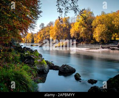 Rivière ISAR pendant l'automne coloré au nord de Munich Banque D'Images