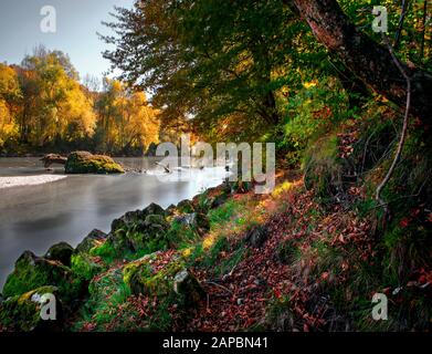 Rivière ISAR pendant l'automne coloré au nord de Munich Banque D'Images