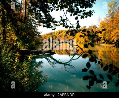 Rivière ISAR pendant l'automne coloré au nord de Munich Banque D'Images