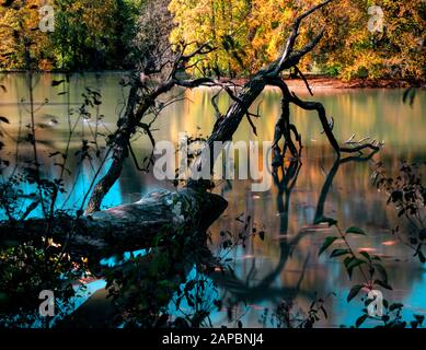 Rivière ISAR pendant l'automne coloré au nord de Munich Banque D'Images