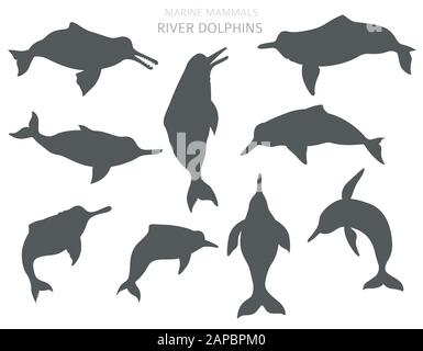 Dauphins de rivière ensemble. Collection de mammifères marins. Motif plat de style dessin animé. Illustration vectorielle Illustration de Vecteur