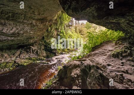 Oparara Arch, Avec La Rivière Oparara Ci-Dessous, Parc National De Kahurangi, Région De La Côte Ouest, Île Du Sud, Nouvelle-Zélande Banque D'Images