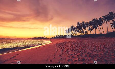Plage tropicale avec silhouettes de palmiers à la noix de coco au coucher du soleil, coloration appliquée, Sri Lanka. Banque D'Images