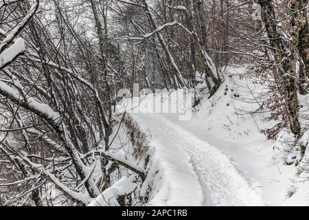 Sentier sur les lacs de Plitvice sous la neige épaisse, Croatie. Dans le parc national des lacs de Plitvice, les nombreuses chutes d'eau et les rivières créent un beau paysage o Banque D'Images