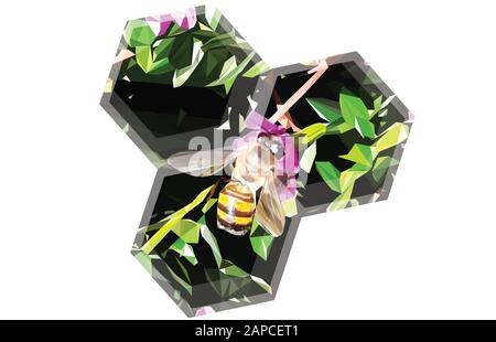 Illustration poly basse d'une abeille à l'intérieur du nid d'abeilles Banque D'Images Illustration poly basse d'une abeille à l'intérieur du nid d'abeilles Banque D'Images