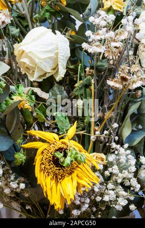 Un bouquet de fleurs mortes. Banque D'Images