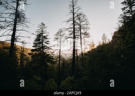 Randonnée au coucher du soleil dans les montagnes de Jemez à Jemez Springs, au Nouveau-Mexique. Banque D'Images