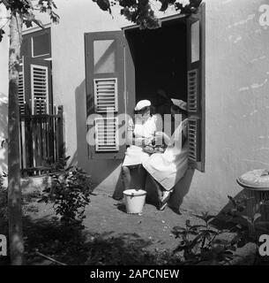 Voyage au Suriname et aux Antilles néerlandaises Description: Peels de pommes de terre à Saint Jozef avec école sœur des sœurs de Schijndel à Santa Rosa à Curaçao Date: 1947 lieu: Curaçao mots clés: Pommes de terre, monastères, élèves Banque D'Images