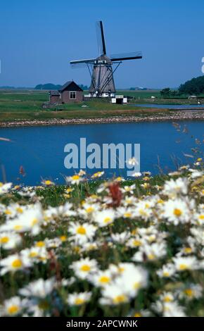 Winmill À Oost, Texel Island, Mer Du Nord, Pays-Bas, Europe Banque D'Images